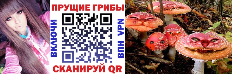 как найти закладки  Ростов-на-Дону  Псилоцибиновые грибы Psilocybine cubensis 