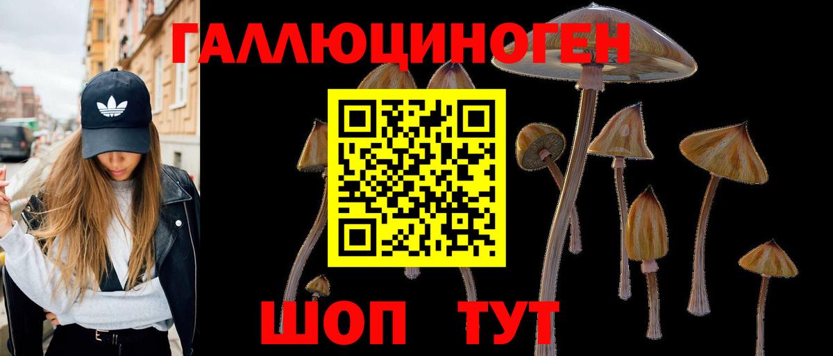 Псилоцибиновые грибы Psilocybine cubensis Ростов-на-Дону